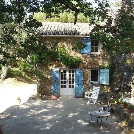 La Bergerie Villa La Garde-Freinet Exteriör bild