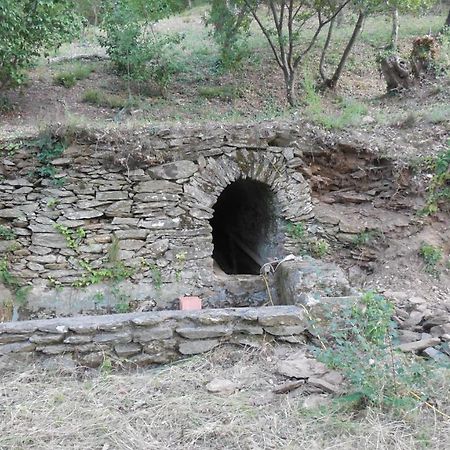 La Bergerie Villa La Garde-Freinet Exteriör bild