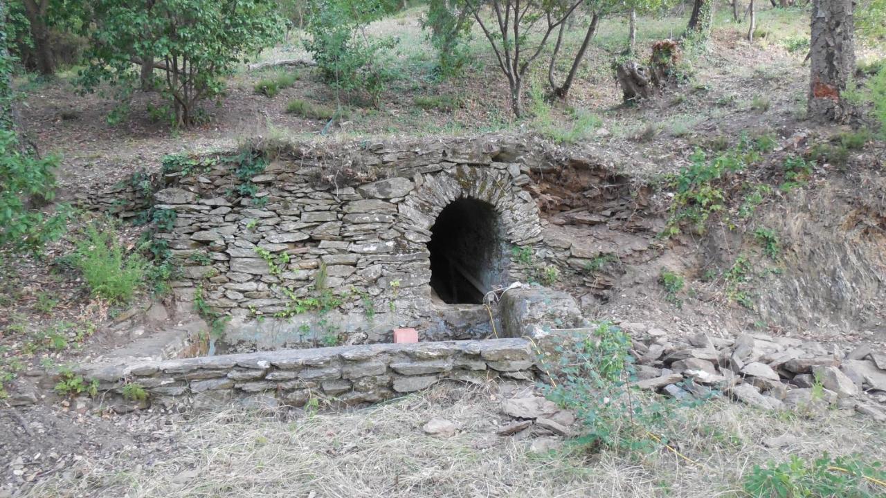La Bergerie Villa La Garde-Freinet Exteriör bild